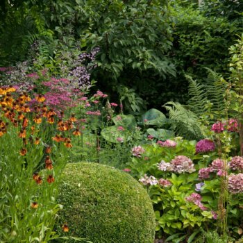 Romantische plantentuin